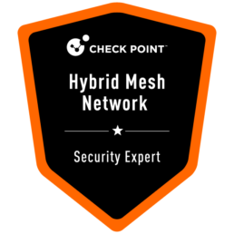 Dutch Network Engineer - Check Point Network Security Expert